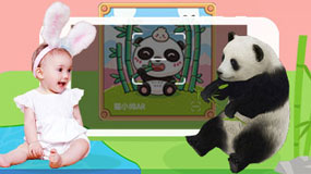 猫小帅app常见问题_猫小帅应用下载_猫小帅app怎么下载