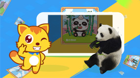 猫小帅教你花式玩AR卡片