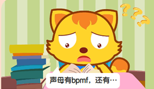 猫小帅拼音 攻克拼音易错题